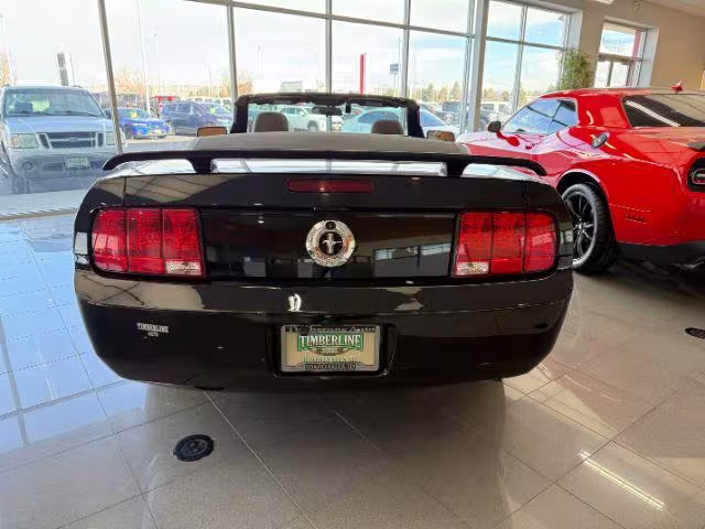 2006 Ford Mustang - 1ZVFT84NX65187939 - Image #3