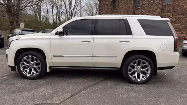 2015 Cadillac Escalade - 1GYS4NKJ1FR569244 - Image #1