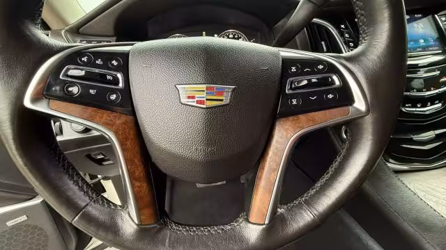 2015 Cadillac Escalade - 1GYS4NKJ1FR569244 - Image #10