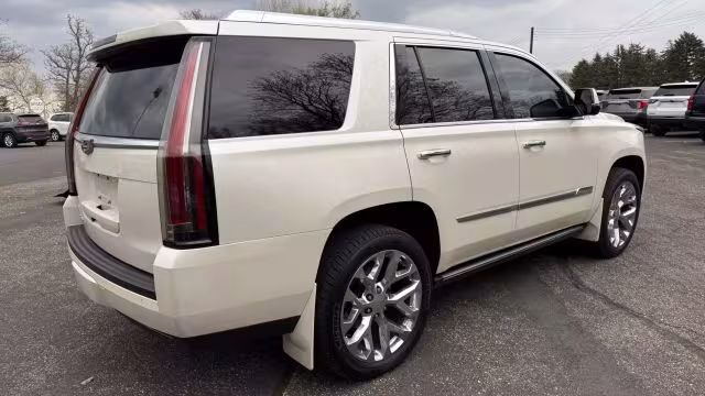 2015 Cadillac Escalade - 1GYS4NKJ1FR569244 - Image #4