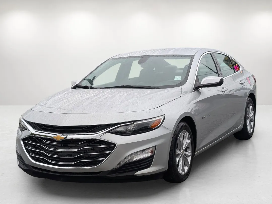 2019 Chevrolet Malibu - 1G1ZD5ST1KF104795 - Image #1